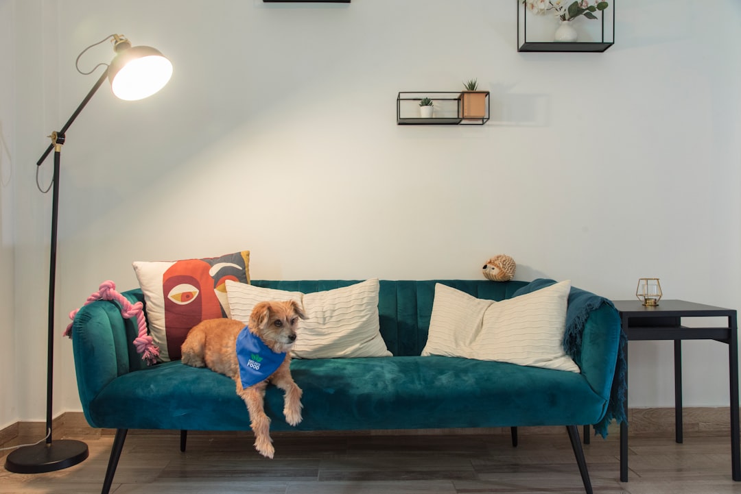 Flat buyer reading lease permission clauses at home with a pet