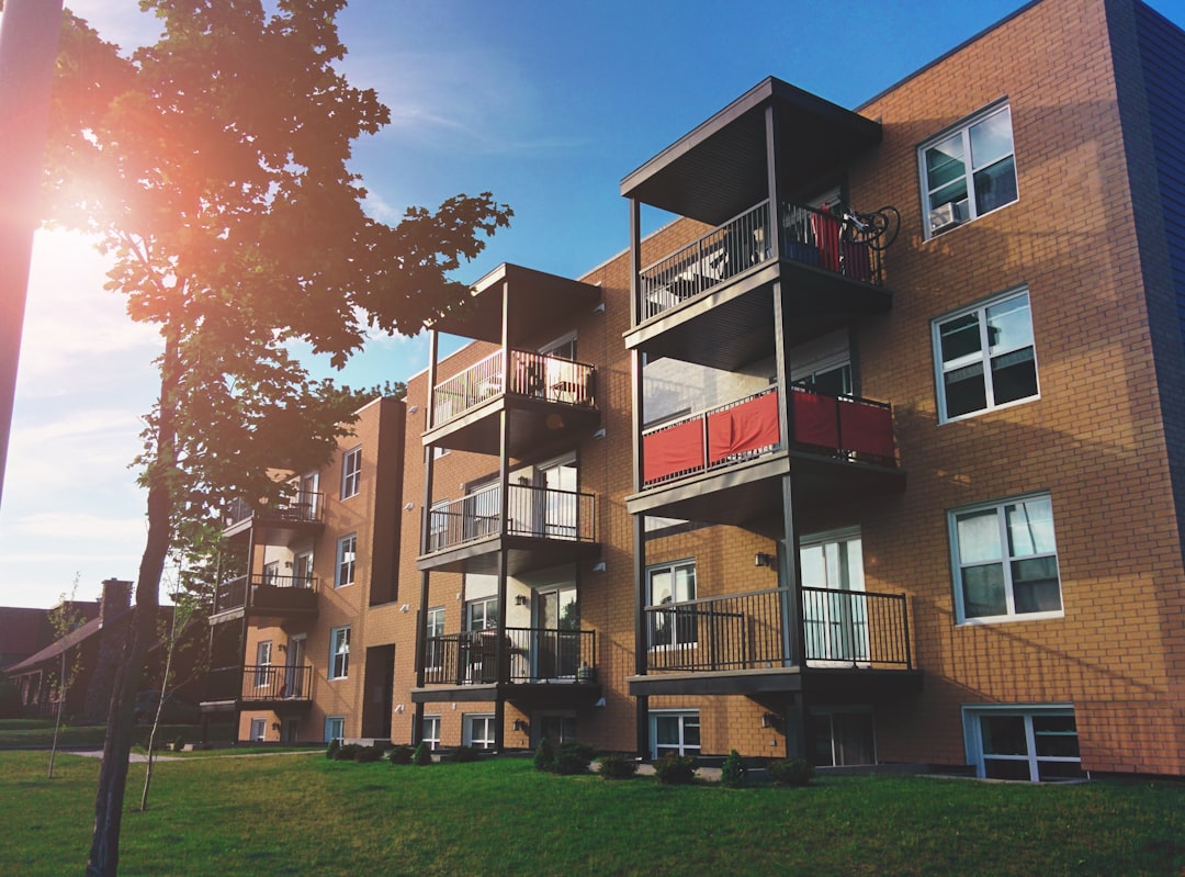 Buyer reviewing a leasehold management pack during conveyancing